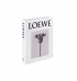 Livro caixa loewe P