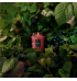 Vela Voluspa pote vidro P 50H relevo Foraged Wildberry